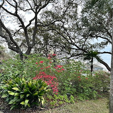 Revitalize-Your-Landscape-Major-Cleanup-Pinestraw-Perfection- 13